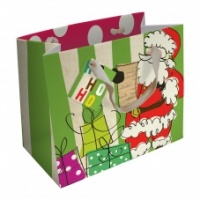 Caroline Gardner Landscape Father Christmas Gift Bag